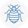 Bed Bug Extermination In Bicester