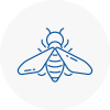 Bee Nest Removal Bicester