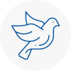 Bird Prevention Bicester