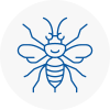 Bicester Hornet Nest Removals