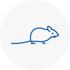 Mice Exterminators In Bicester