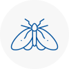 Moth Control Specialists In Bicester