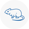 Rat Control Bicester