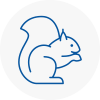 Bicester Rodent Removals